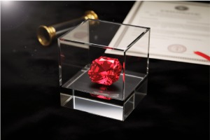 Gem Access services